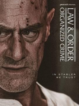 法律与秩序：组织犯罪 第五季