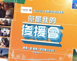 你是我的后援会