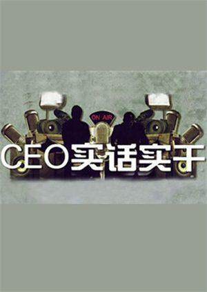CEO实话实干2010