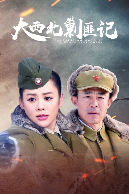 大西北剿匪记
