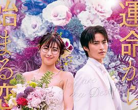 命中注定我爱你