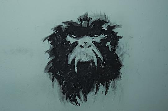 十二猴子第一季 剧照