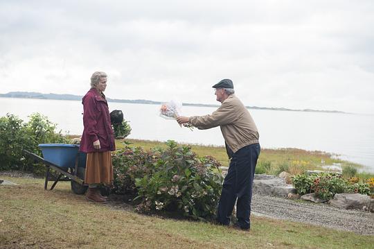 奥丽芙·基特里奇 剧照
