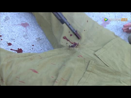 雪豹坚强岁月 剧照