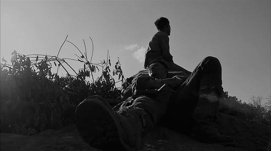 我的团长我的团 剧照