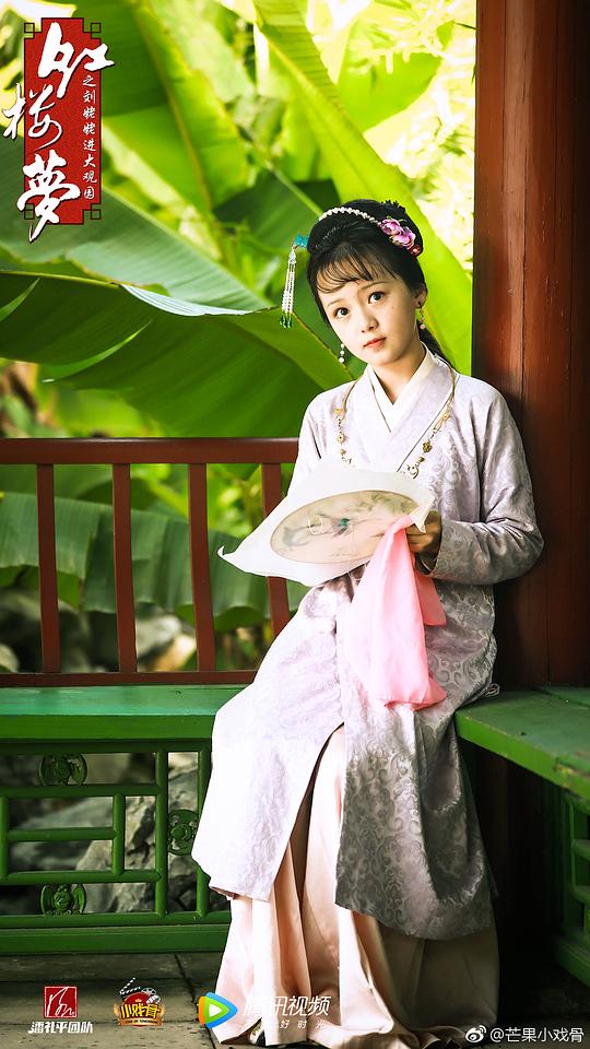 小戏骨：红楼梦之刘姥姥进大观园 剧照