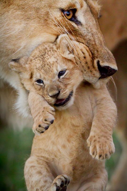 王朝第一季 剧照