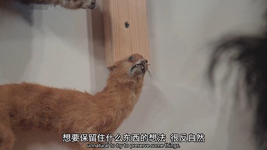 约翰·威尔逊的十万个怎么做第一季 剧照