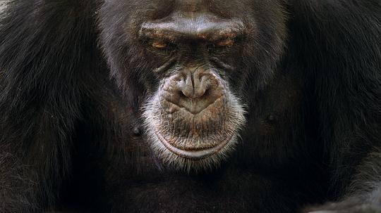 王朝第一季 剧照