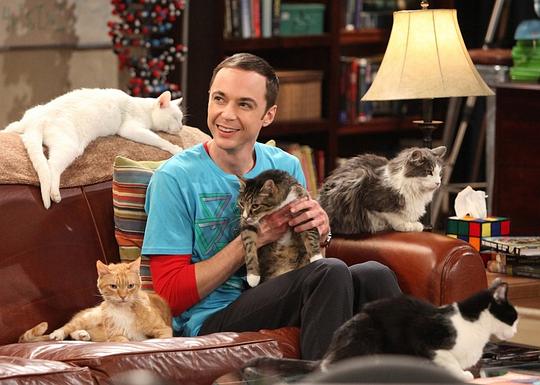 生活大爆炸第四季 剧照