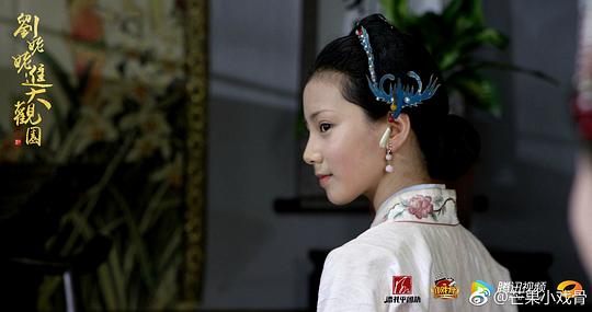 小戏骨：红楼梦之刘姥姥进大观园 剧照