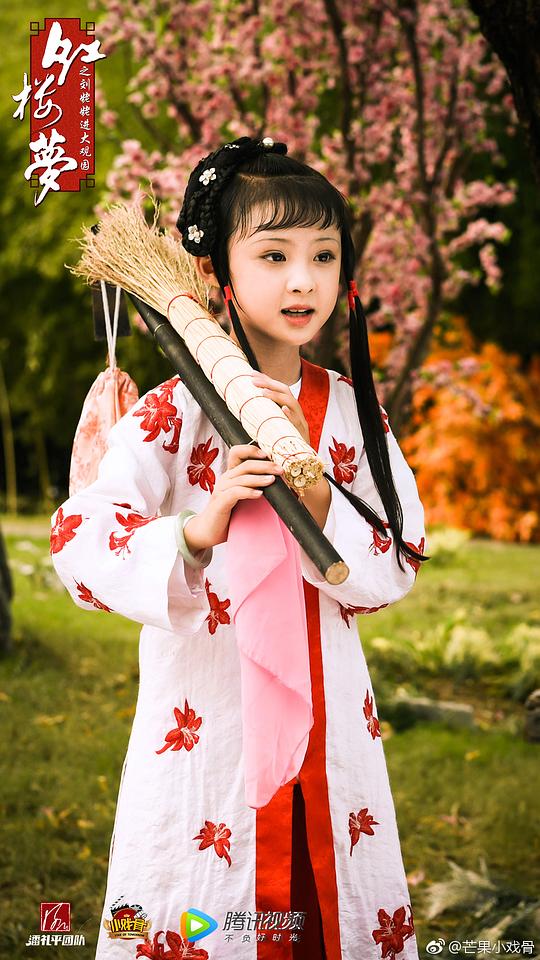 小戏骨：红楼梦之刘姥姥进大观园 剧照