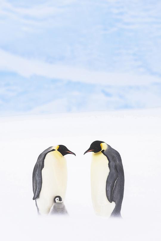 王朝第一季 剧照