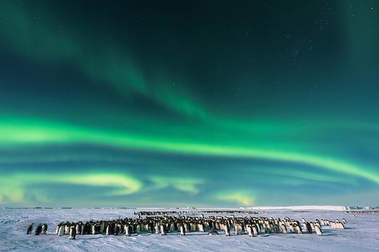 王朝第一季 剧照