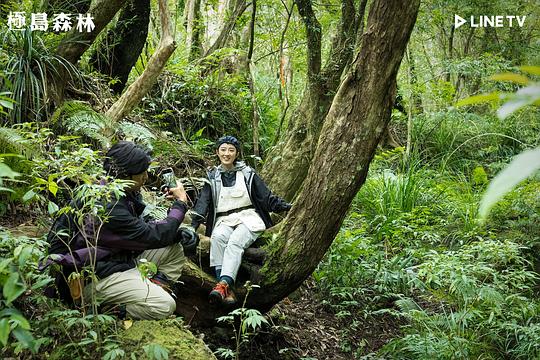 极岛森林 剧照