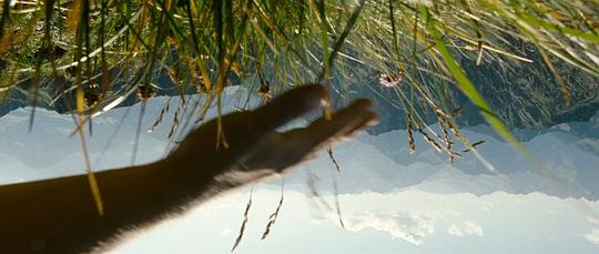 文森特要看海 剧照