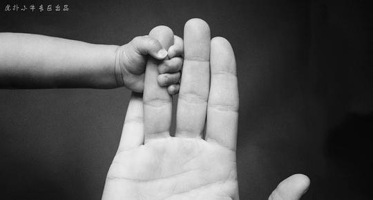 诺维茨基：完美的投篮 剧照