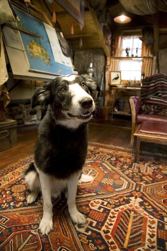 亚瑟和他的迷你王国2 剧照