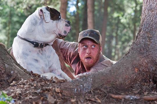 双宝斗恶魔 剧照