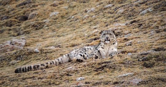 我们诞生在中国 剧照