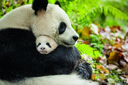 我们诞生在中国 剧照