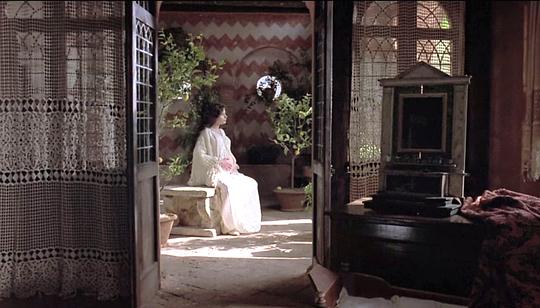 红色小提琴 剧照