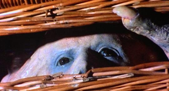 篮子里的恶魔 剧照