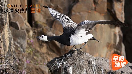 水深火热的星球第一季 剧照