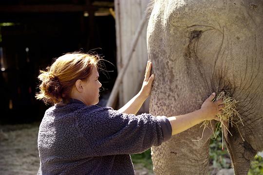 百岁老人跷家去 剧照