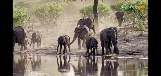 水深火热的星球第一季 剧照