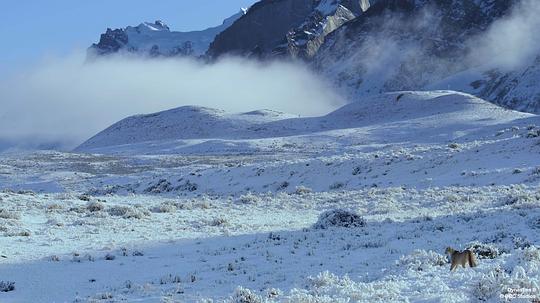 王朝第二季 剧照