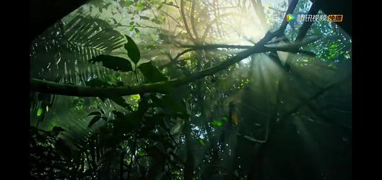 水深火热的星球第一季 剧照