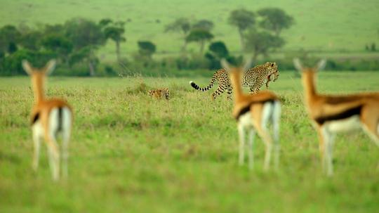 水深火热的星球第一季 剧照