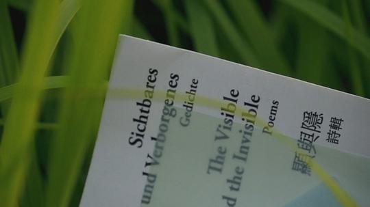 他们在岛屿写作：东西 剧照