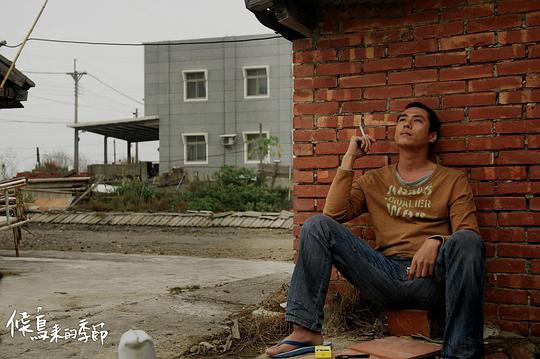 候鸟来的季节 剧照