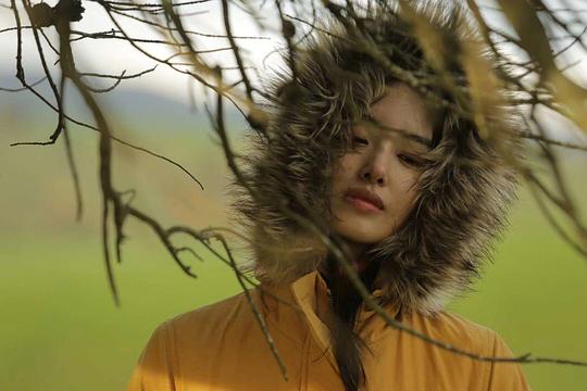 只有芸知道 剧照