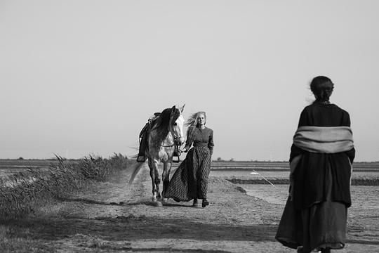 伊莉莎与玛瑟拉 剧照