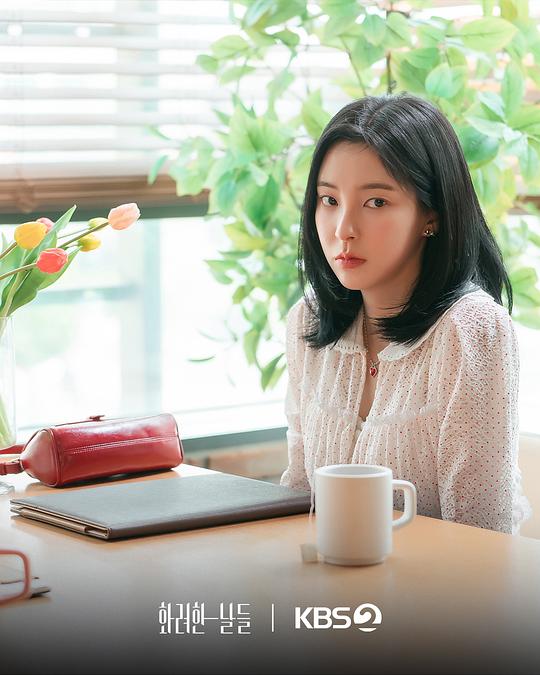 华丽的日子 剧照