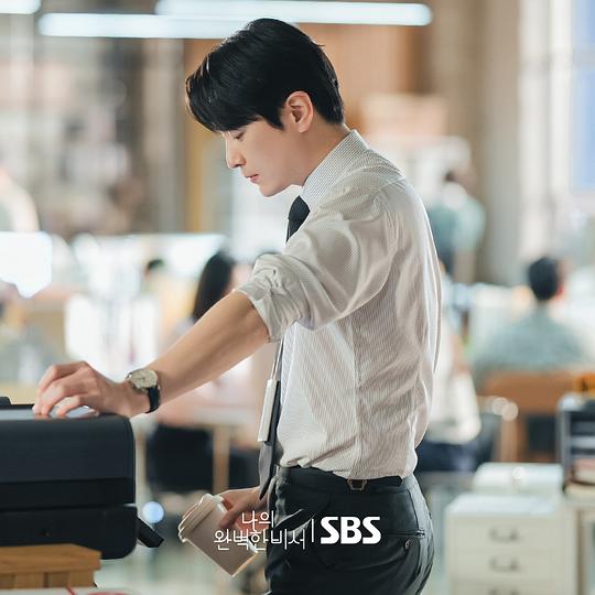 我的完美秘书 剧照