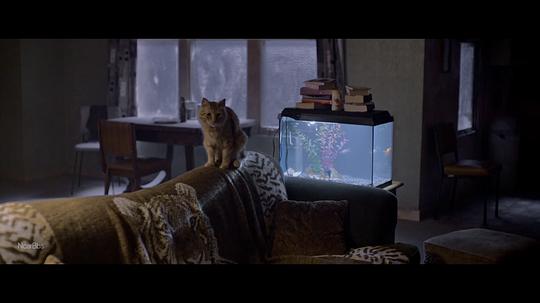 黑暗城市：清扫魔 剧照