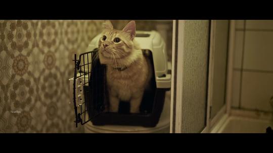 黑暗城市：清扫魔 剧照