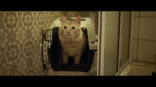 黑暗城市：清扫魔 剧照