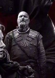 斯温内尔德角色图