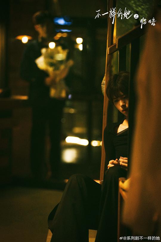 不一样的她之临暗 剧照