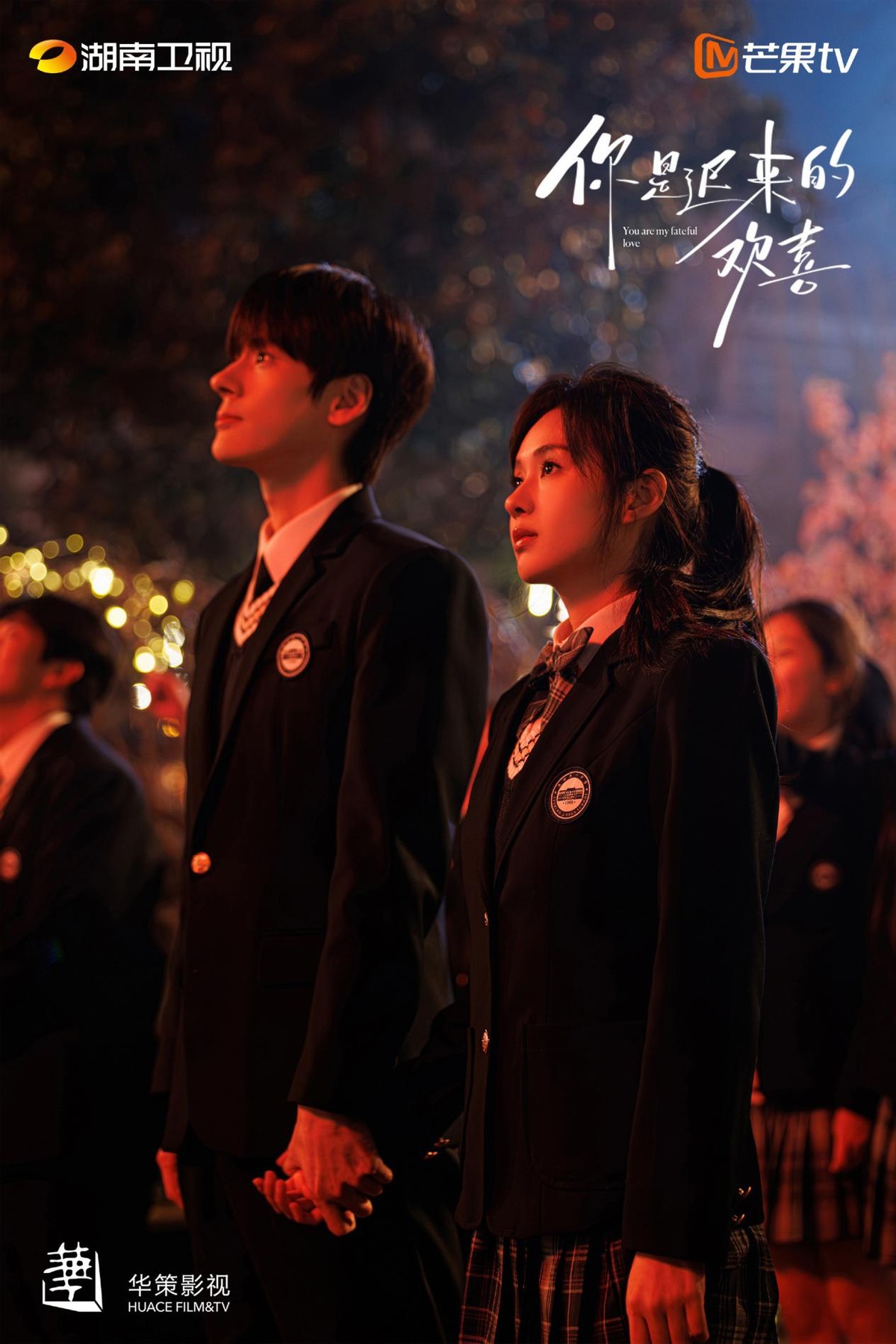 《你是迟来的欢喜》截图