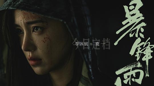 暴锋雨 剧照