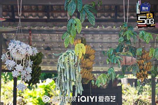 哈哈哈哈哈第六季 剧照